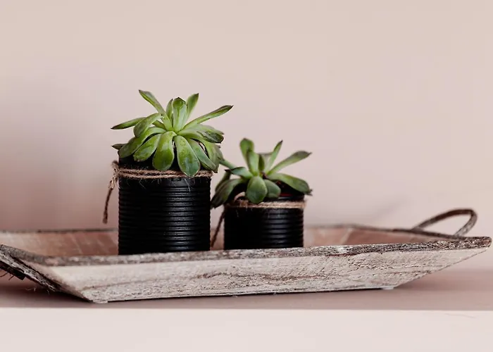 Apartment M&m Studio's 1 & 2