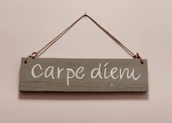 M&m Studio's 1 & 2 * Zandvoort