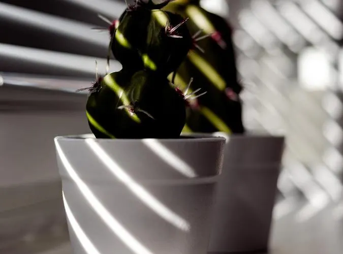 M&m Studio's 1 & 2 Apartment