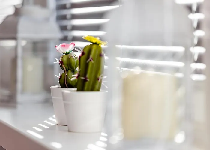 Apartment M&m Studio's 1 & 2 *